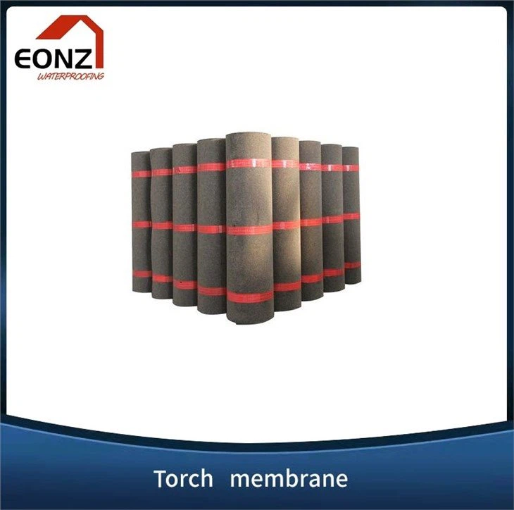 1 (20)