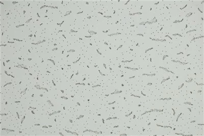 Plafon Gantung 600*600mm Tahan Lembab
